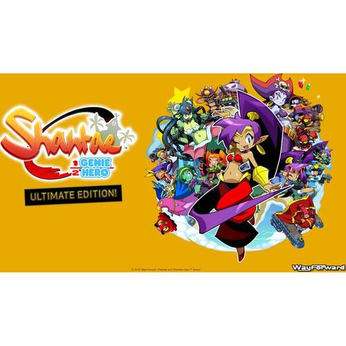 Take control of Shantae, a half-genie who can use her hair as a whip to attack enemies
